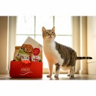 Cat Trial Package (Schnupperpaket Katzen) 810g (1 Pack with different flavours and samples)